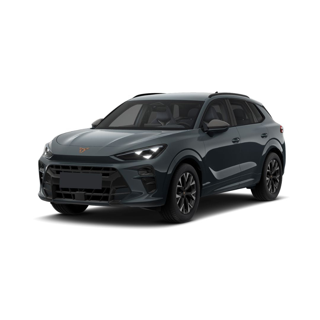 Covorase auto tip tavita Cupra Terramar