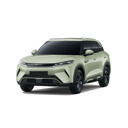 Tavite portbagaj BYD Atto