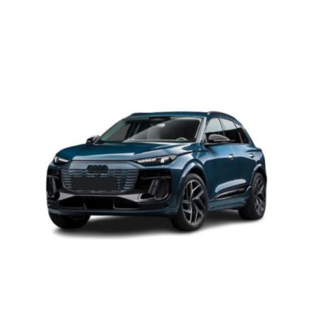 Tavite portbagaj Audi Q6