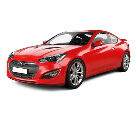 Protectie suport repaus picior inox Hyundai Genesis