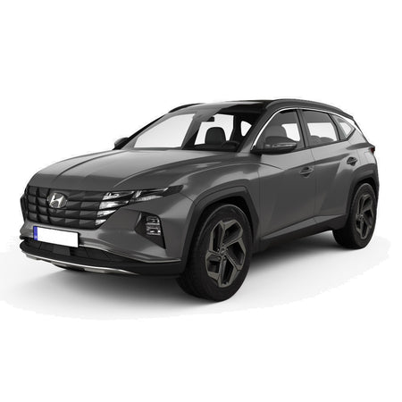 Bandouri laterale Hyundai Tucson