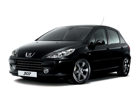 Bandouri laterale Peugeot 307