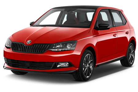 Bandouri laterale Skoda Fabia