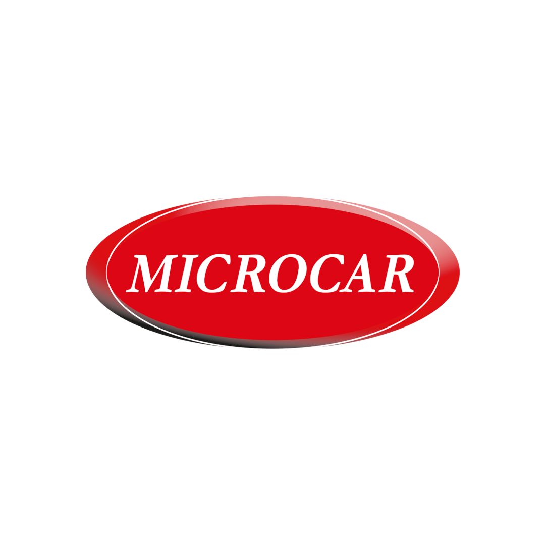 Tavite portbagaj Microcar