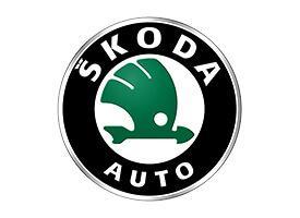 Protectie praguri usi inox Skoda