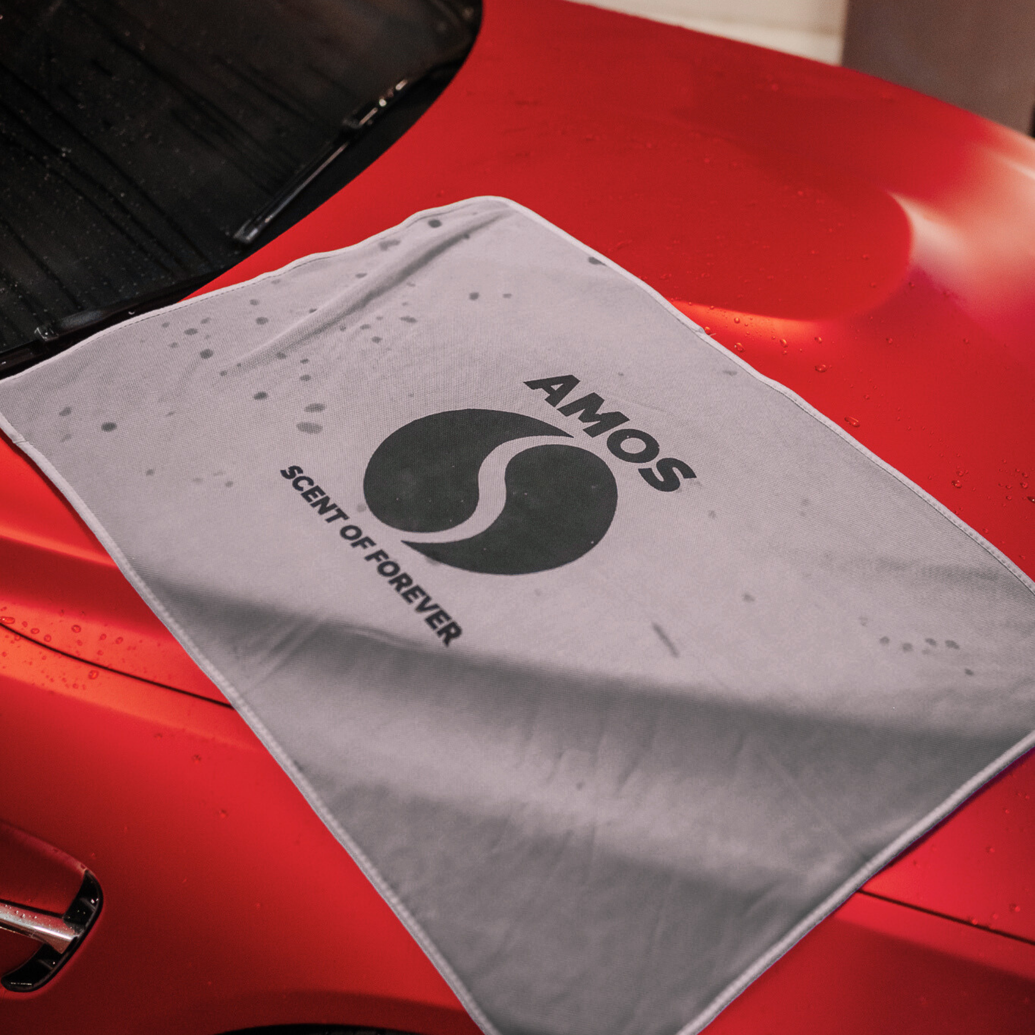 Protejează Vopseaua