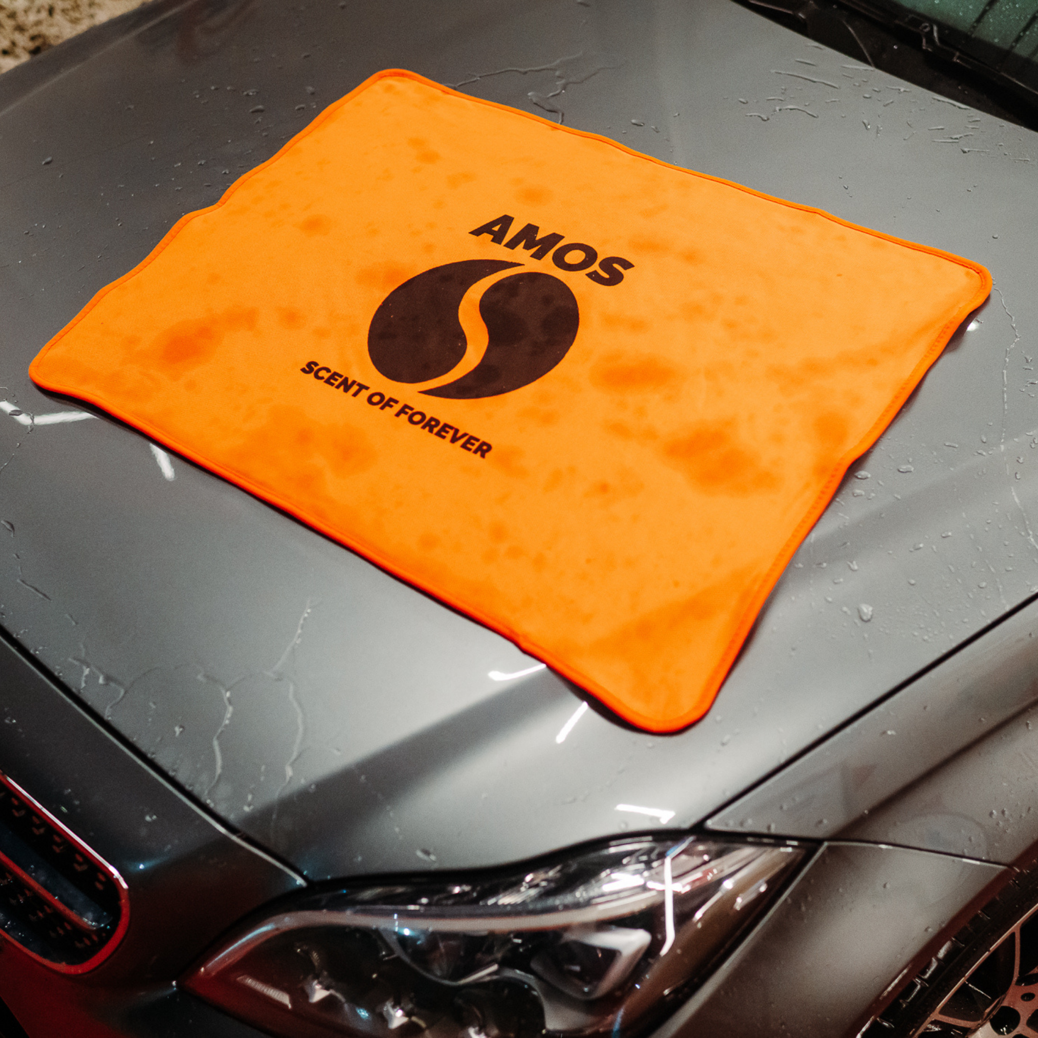 Protejează Vopseaua