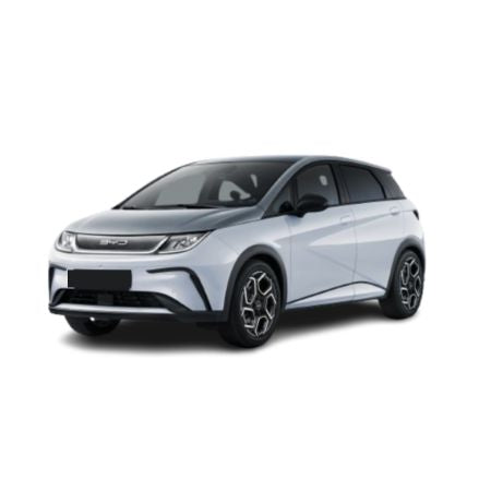 Protectie praguri usi inox BYD Dolphin