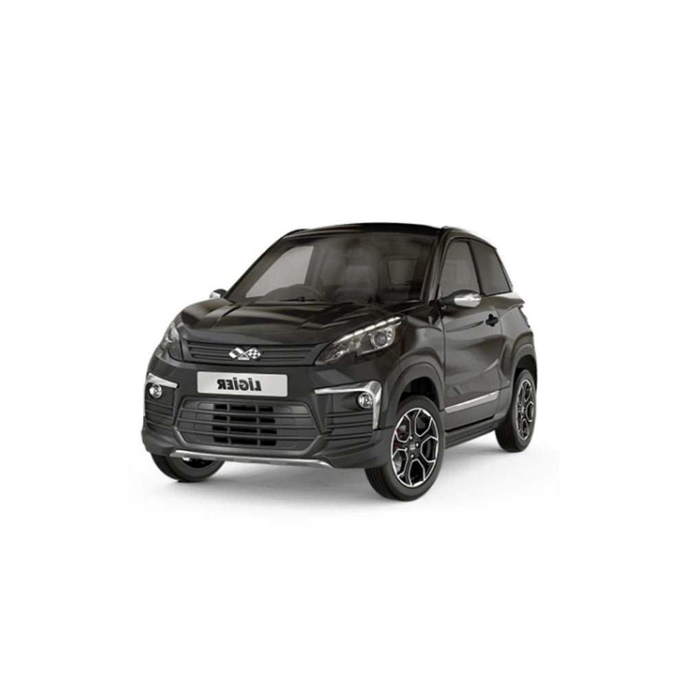 Tavite portbagaj Ligier JS60 fabricatie 09.2020 - prezent, caroserie suv