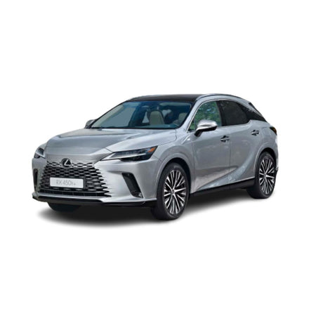 Tavite portbagaj Lexus RX AL30 450h+ PHEV fabricatie 10.2022 - prezent, caroserie suv