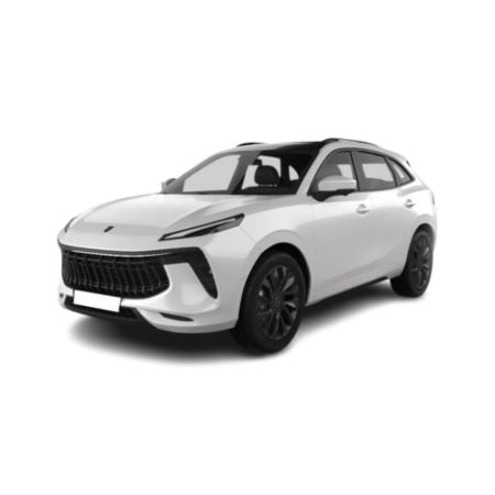 Tavite portbagaj Forthing T5 EVO fabricatie 2020 - prezent, caroserie suv