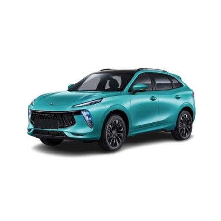 Tavite portbagaj Forthing T5 EVO EV fabricatie 2020 - prezent, caroserie suv