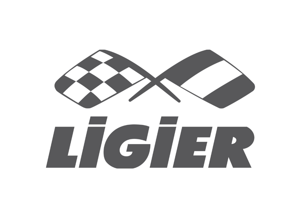 Covorase Auto Tip Tavita 