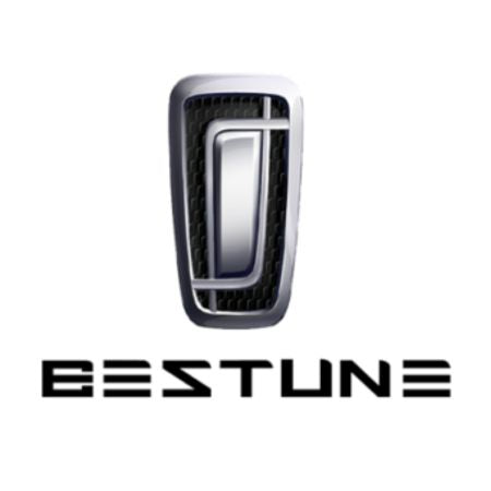 Covorase Auto Tip Tavita 