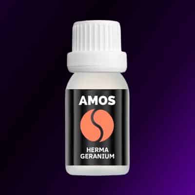 PACHET AMOS ONE Difuzor Smart + 6 parfumuri cadou