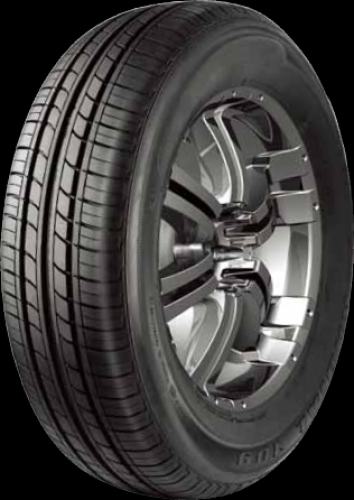 TRACMAX R109 165/70R14C 89R