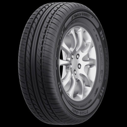 FORTUNE FSR-801 205/55R16 94V  FP M+S