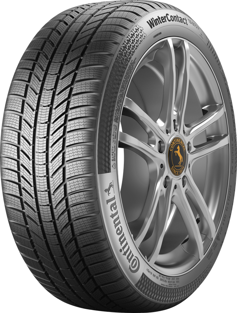 Anvelope Iarna 205/55 R19 Triangle WINTERX TW401 97V XL