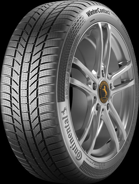 Anvelope Iarna 205/55 R19 Triangle WINTERX TW401 97V XL