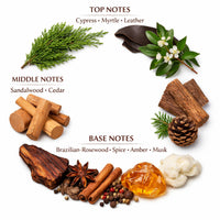 Rezervă de parfum Amos Sandalwood 100 ML