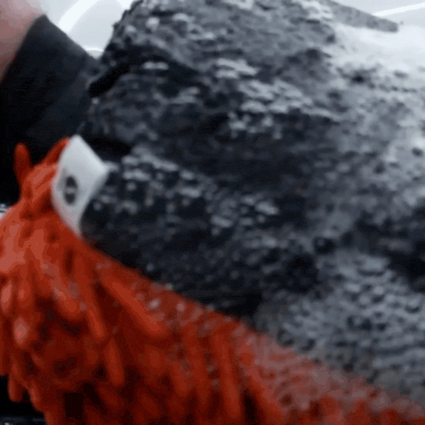 Curata profund si rapid