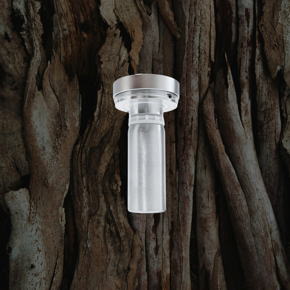 Rezervă de parfum Amos Sandalwood 100 ML