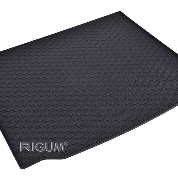 Tavite portbagaj BMW X3 G01, caroserie suv, an fabricatie 11.2017 - prezent | 403039