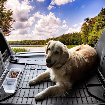 Tavita portbagaj Ford C-MAX fabricatie 11.2010 - prezent (cu roata de rezerva normala) 9