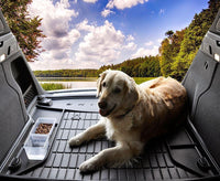 Tavite portbagaj Citroen C4 Picasso II, caroserie van, an fabricatie 07.2013 - 11.2020, portbagaj inferior | TM402942