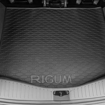 Tavite portbagaj Ford C-Max I, caroserie van, an fabricatie 2003 - 10.2010 | 408027